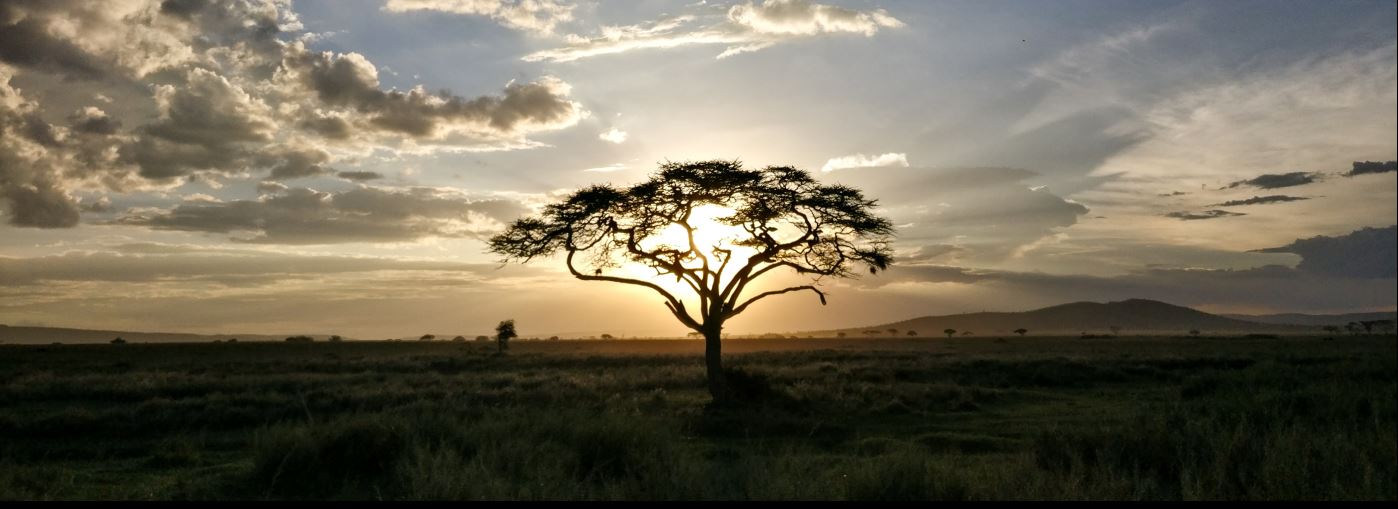 Picture of a sunset in Africa.